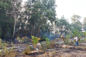 Kiên Giang: Người đứng đầu phải chịu trách nhiệm nếu để xảy ra cháy rừng 