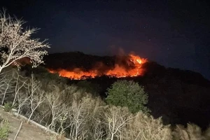 Cháy lớn trên núi Dài và núi Cô Tô (An Giang)