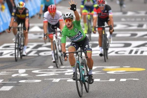 Peter Sagan từng 7 lần đoạt áo xanh Tour de France