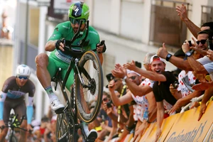 Peter Sagan từng 7 lần giành áo xanh Tour de France