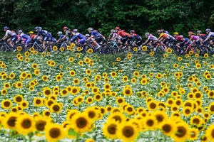 Tour de France Femmes là cuộc đua Tour de France dành cho nữ