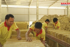 Dự án chế biến sâu cao lanh tại Lâm Đồng