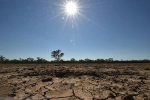 Nông dân Australia chống chọi với hạn hán