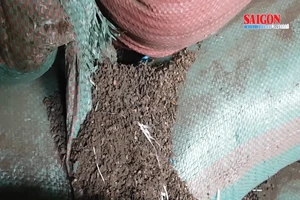 Cận cảnh xưởng sản xuất cà phê trộn pin con ó ở Đắk Nông