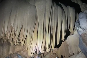 Podcast bản tin tối 6-9: Người dân Quảng Bình phát hiện một hang động đẹp giữa rừng già Trường Sơn