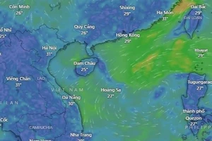 Podcast bản tin tối 23-9: Dải hội tụ nhiệt đới đã hình thành áp thấp trên Biển Đông; Phát hiện 10.000 lít dầu diesel tái chế từ nhớt thải