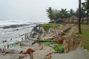 Bờ biển Cửa Đại (TP Hội An, Quảng Nam) bị sạt lở nghiêm trọng
