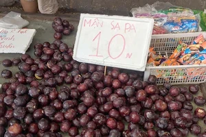 Cẩn trọng với trái cây giá rẻ