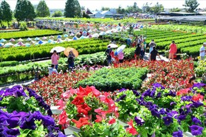 The 2023 Sa Dec Flower - Ornamental Festival attracta a large number of visitors. (Photo: SGGP)