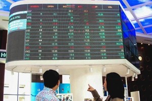 Investors monitor stock market developments at the Ho Chi Minh City Stock Exchange (HOSE). (Photo: VNA)