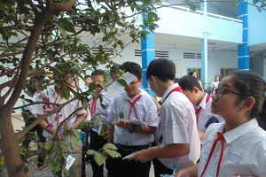 Các trường tại TPHCM được chủ động thực hiện tiết học ngoài nhà trường