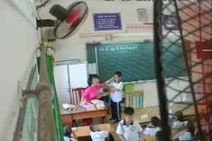 Buộc thôi việc cô giáo đánh, véo tai học sinh ở quận Tân Phú
