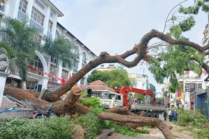Trường THCS Trần Văn Ơn hỗ trợ các nạn nhân vụ cây đổ hơn 16 triệu đồng