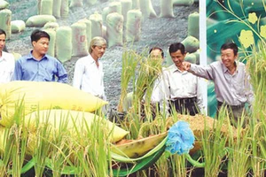 Phát triển bền vững nông nghiệp - nông dân - nông thôn Việt Nam