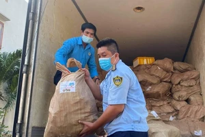 Gần 10 tấn cá biển từ tỉnh Quảng Bình đã đến TPHCM 