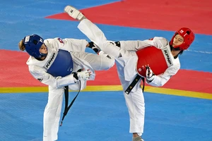 Taekwondo là một trong những môn được kỳ vọng sẽ giành suất dự Olympic của TTVN.