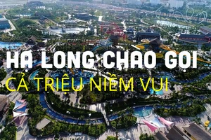 Top những trải nghiệm nhất định phải thử khi đến thành phố di sản Hạ Long