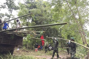 Chiến sĩ biên phòng tận dụng tre, tranh kiên cố lán trại, bám biên chống dịch, phòng mưa bão