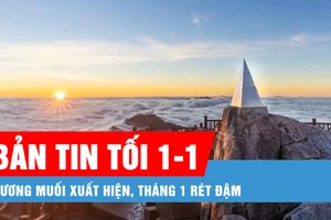 Bản tin tối 1-1: Sương muối xuất hiện, tháng 1 rét đậm; Cặp nam nữ đánh tới tấp tài xế