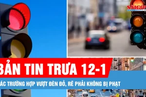 Bản tin trưa 12-1: Các trường hợp vượt đèn đỏ, rẽ phải không bị phạt