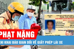 Mức phạt tăng nặng khi khai báo gian dối về giấy phép lái xe