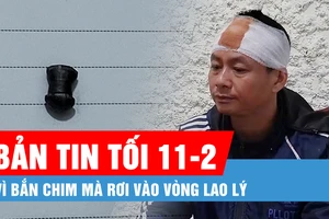 Bản tin tối 11-2: Vì bắn chim mà rơi vào vòng lao lý