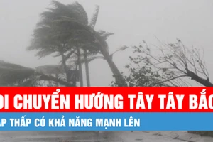 Vùng áp thấp có khả năng mạnh lên thành áp thấp nhiệt đới