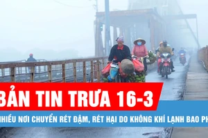 Bản tin trưa 16-3: Nhiều nơi chuyển rét đậm, rét hại do không khí lạnh bao phủ