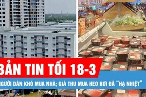 Bản tin tối 18-3: Giá tăng liên tục làm người dân khó mua nhà; Giá thu mua heo hơi đã “hạ nhiệt”