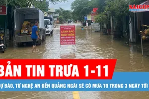 Bản tin trưa 1-11: Dự báo, từ Nghệ An đến Quảng Ngãi sẽ có mưa to trong 3 ngày tới