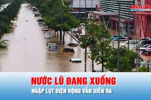 Podcast bản tin trưa 21-11: Tình hình mưa lũ trong 24 giờ tới tại Khánh Hòa, Đắk Lắk