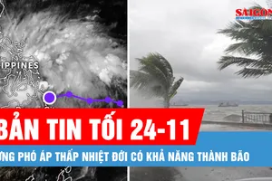 Bản tin tối 24-11: Ứng phó áp thấp nhiệt đới có khả năng thành bão 