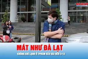 Podcast bản tin trưa 28-11: Nhiều người thích thú vì TPHCM quanh năm nóng bức, nay mát như Đà Lạt