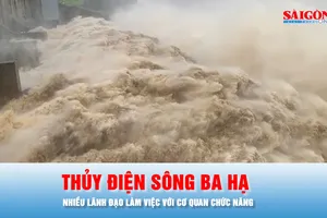 Podcast bản tin trưa 2-12: Lãnh đạo Công ty CP Thủy điện Sông Ba Hạ làm việc với cơ quan chức năng