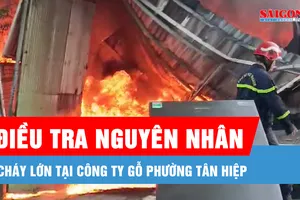 Khống chế thành công đám cháy công ty gỗ tại phường Tân Hiệp