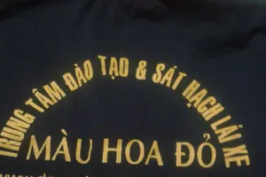 Cà Mau: Cả dân và lãnh đạo bị “trái đắng” khi học lái xe ô tô