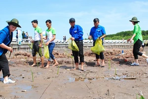 Quỹ 1 triệu cây xanh cho Việt Nam đến Đất Mũi