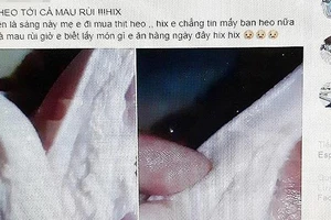 Công an mời người đăng tin “Thịt heo bệnh về tới Bạc Liêu” lên làm việc