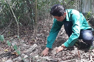 Không khởi tố vụ án Nhà máy xử lý rác thải TP Cà Mau phát hiện 300 xác thai nhi