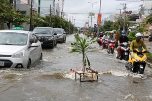 Cà Mau khẩn trương khắc phục thiệt hại do ngập úng