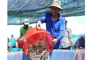 Cà Mau đẩy mạnh kết nối tiêu thụ nông, thủy sản trong bối cảnh dịch Covid-19 còn diễn biến phức tạp