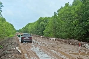 Đường lầy lội cản bước du khách về tham quan Mũi Cà Mau