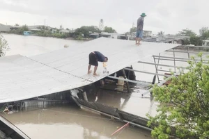 Cà Mau: Lại sạt lở đất lúc nửa đêm