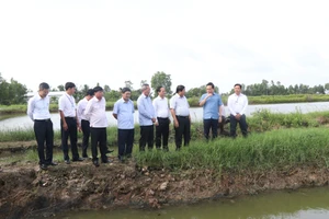 Bạc Liêu: Các chương trình mục tiêu quốc gia giúp người dân nâng cao hiệu quả sản xuất