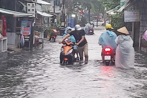 Cà Mau khẩn trương khắc phục hậu quả do mưa lớn, triều cường