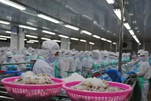 Cà Mau: Giữ vững vị thế “thủ phủ tôm” cả nước