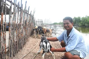 Khoảng 578 tỷ đồng hỗ trợ sinh kế cho hơn 12.140 hộ dân ở Cà Mau