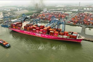 附图 图自越通社