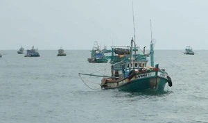 Tình trạng tàu cá vi phạm tại vùng biển nước ngoài vẫn còn phức tạp