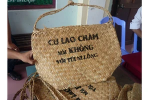 Tiếp tục nhân rộng chiến dịch “Cù Lao Chàm nói không với túi ni lông”